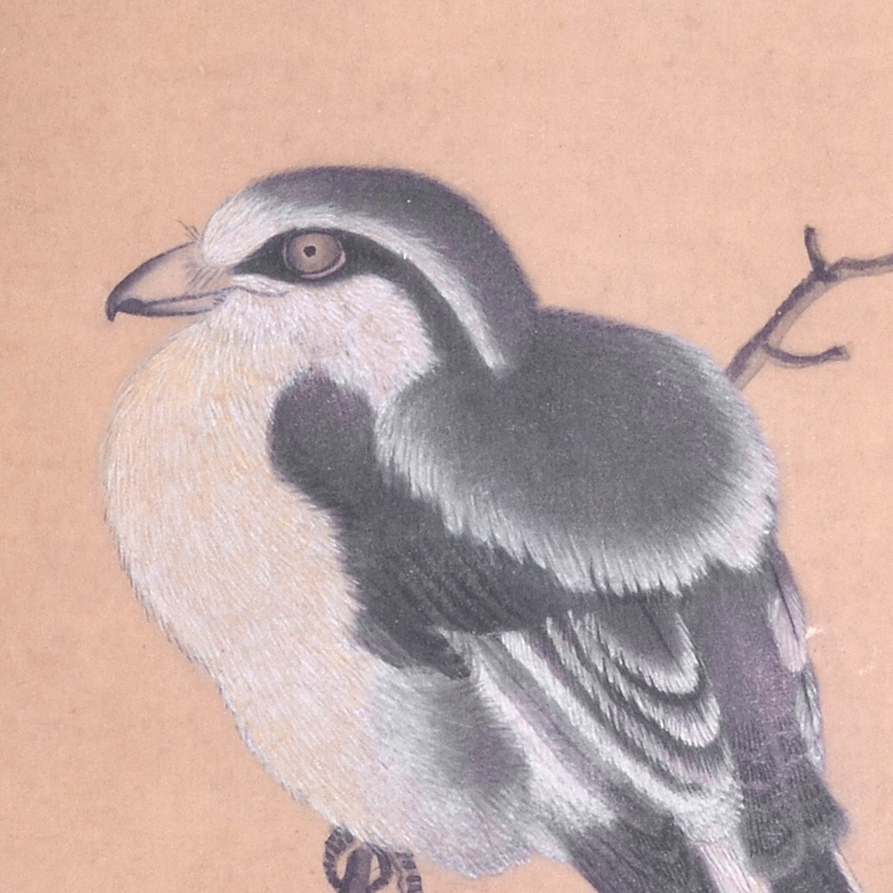 花鸟(二)-瑞华-新时代新征程-名人名家书画联展