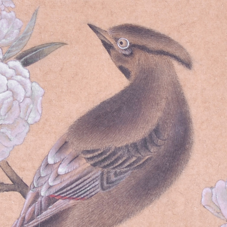 花鸟(五)-瑞华-新时代新征程-名人名家书画联展