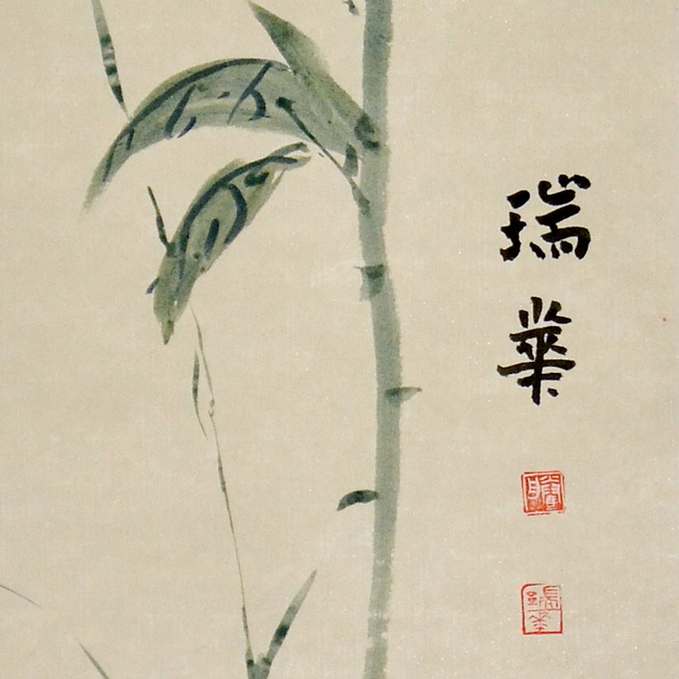 花鸟(六)-瑞华-新时代新征程-名人名家书画联展