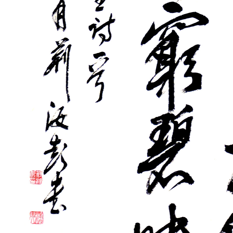 书法(二)-荆汝彭-新时代新征程-名人名家书画联展