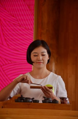 中原茶艺杯，决赛(个人赛-上午场)