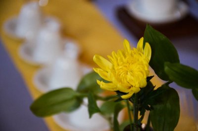 中原茶艺杯，决赛(个人赛-下午场)