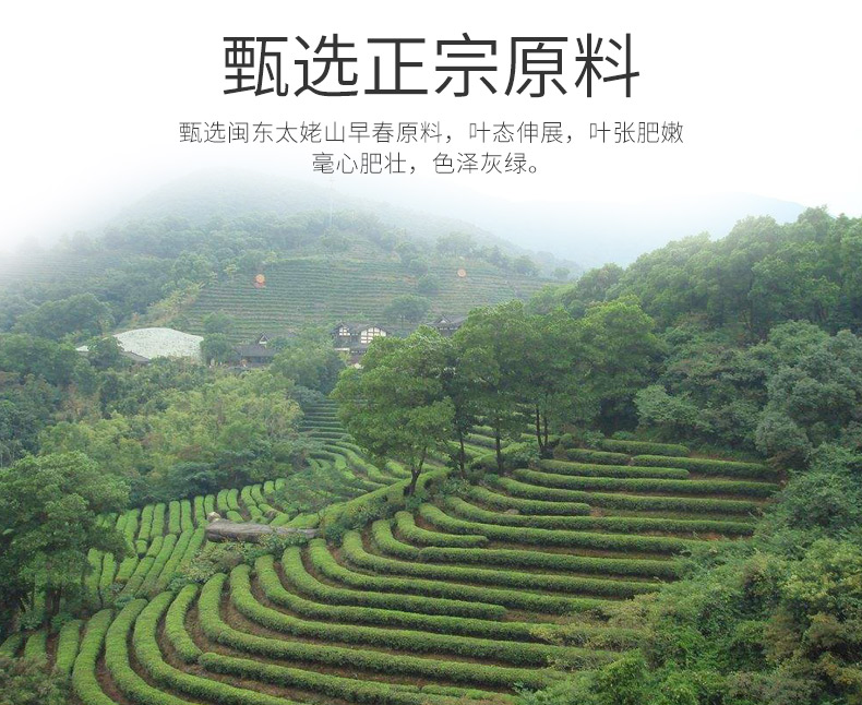 龙小白-花香牡丹-白茶-产品拍摄-外包设计、小程序和淘宝详情页制作