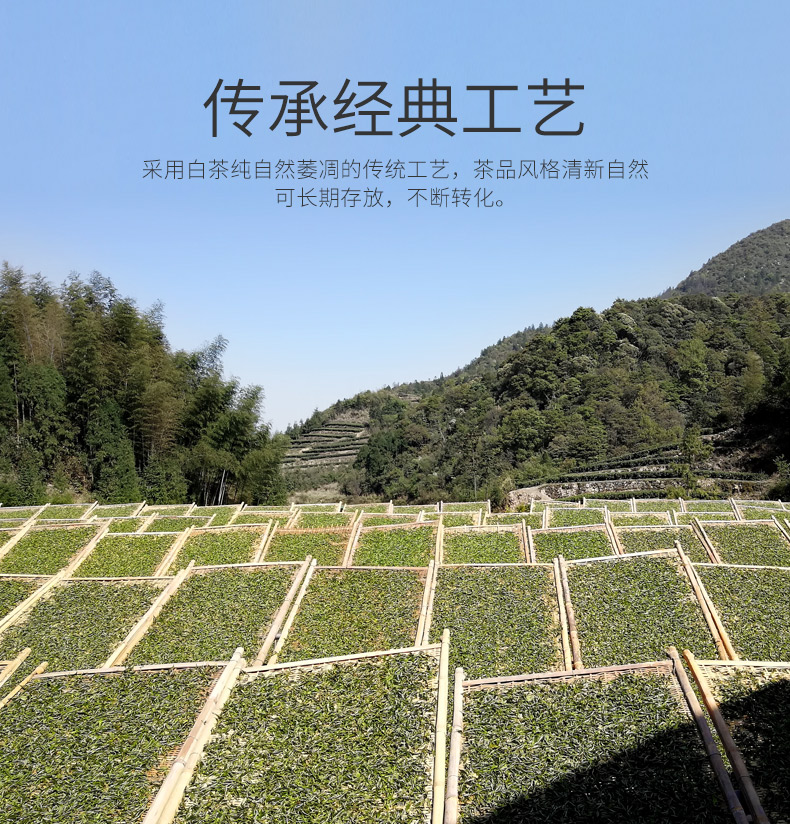 龙小白-花香牡丹-白茶-产品拍摄-外包设计、小程序和淘宝详情页制作