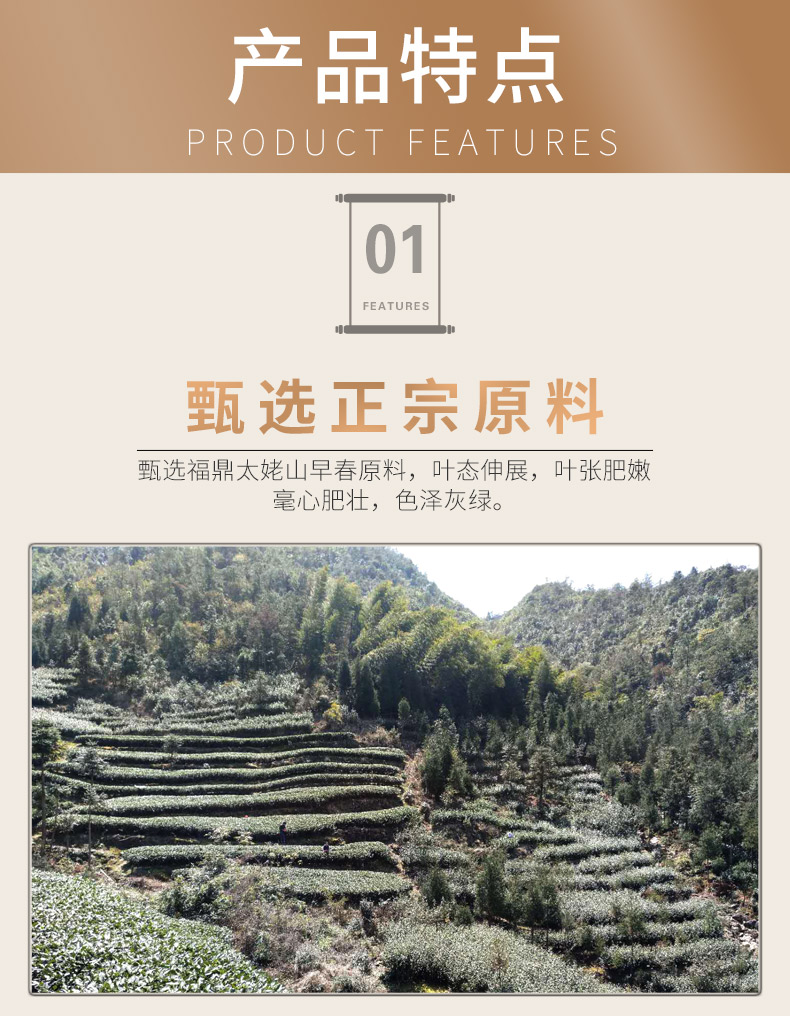 龙小白 福鼎白茶 2017年白露牡丹 迷你茶砖