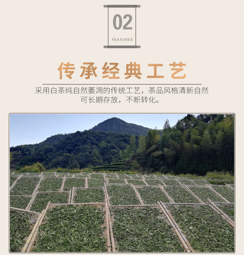 龙小白 福鼎白茶 2017年白露牡丹 迷你茶砖