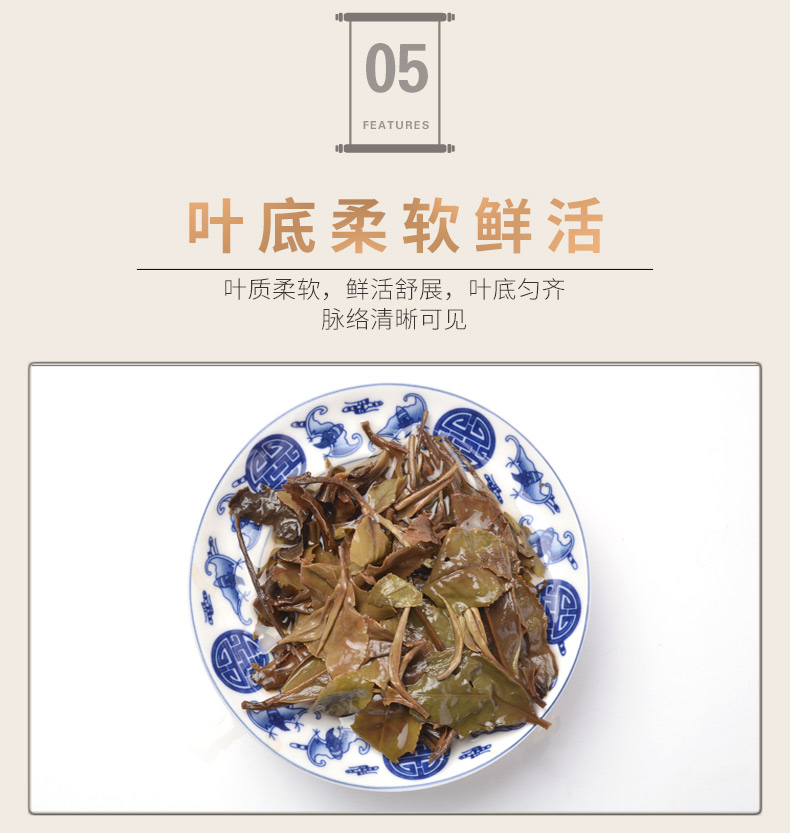龙小白 福鼎白茶 2017年白露牡丹 迷你茶砖