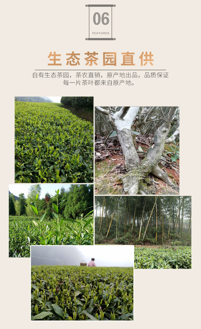 龙小白 福鼎白茶 2017年白露牡丹 迷你茶砖