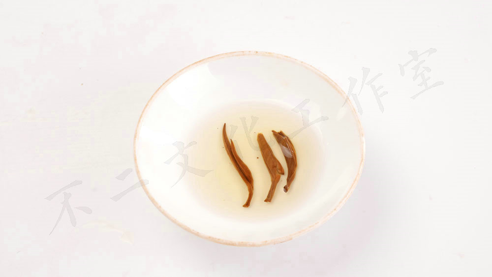 叶底和汤色的拍摄-红茶-小青柑