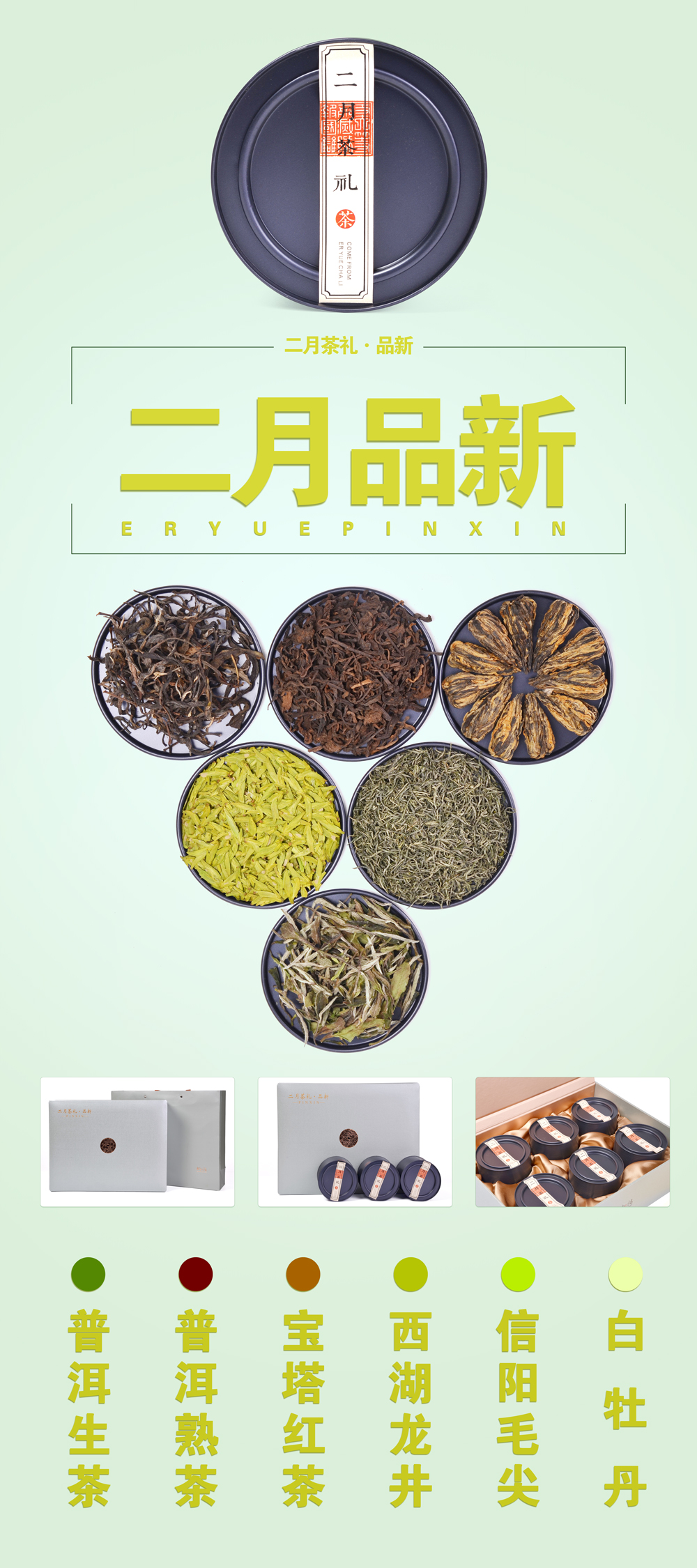 展架设计-毛尖-龙井-红茶-白牡丹-普洱茶