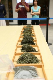 2019年国香茶城，紫砂节-信阳毛尖一芽一叶—斗茶大赛
