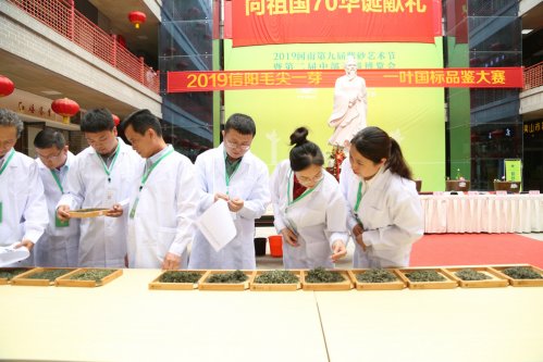 2019年国香茶城，紫砂节-信阳毛尖一芽一叶—斗茶大赛