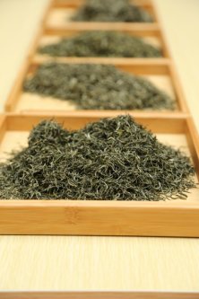 2019年国香茶城，紫砂节-信阳毛尖一芽一叶—斗茶大赛
