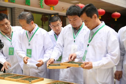 2019年国香茶城，紫砂节-信阳毛尖一芽一叶—斗茶大赛