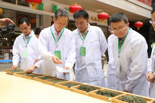 2019年国香茶城，紫砂节-信阳毛尖一芽一叶—斗茶大赛