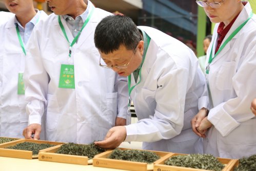 2019年国香茶城，紫砂节-信阳毛尖一芽一叶—斗茶大赛