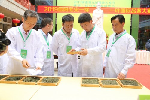 2019年国香茶城，紫砂节-信阳毛尖一芽一叶—斗茶大赛