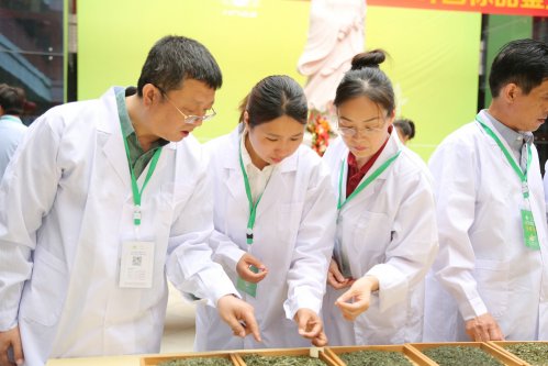 2019年国香茶城，紫砂节-信阳毛尖一芽一叶—斗茶大赛