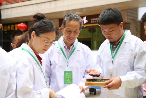 2019年国香茶城，紫砂节-信阳毛尖一芽一叶—斗茶大赛