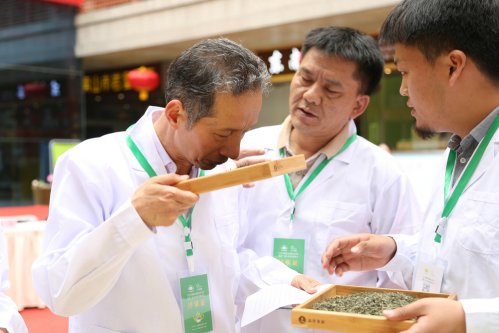 2019年国香茶城，紫砂节-信阳毛尖一芽一叶—斗茶大赛