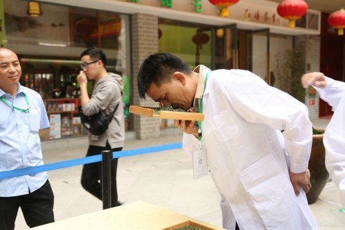2019年国香茶城，紫砂节-信阳毛尖一芽一叶—斗茶大赛