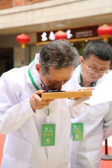 2019年国香茶城，紫砂节-信阳毛尖一芽一叶—斗茶大赛