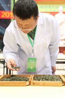 2019年国香茶城，紫砂节-信阳毛尖一芽一叶—斗茶大赛