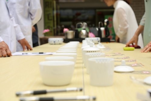 2019年国香茶城，紫砂节-信阳毛尖一芽一叶—斗茶大赛