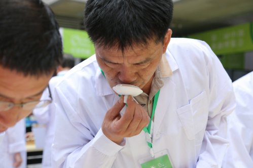 2019年国香茶城，紫砂节-信阳毛尖一芽一叶—斗茶大赛