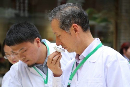 2019年国香茶城，紫砂节-信阳毛尖一芽一叶—斗茶大赛