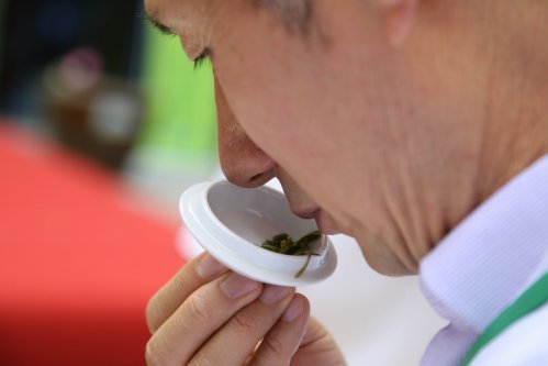 2019年国香茶城，紫砂节-信阳毛尖一芽一叶—斗茶大赛