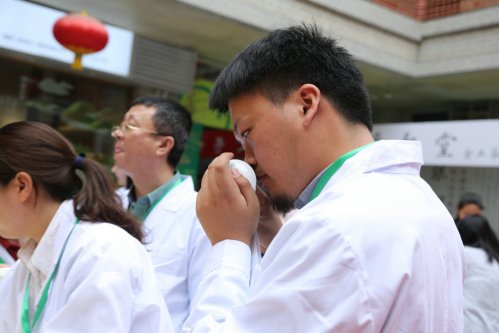 2019年国香茶城，紫砂节-信阳毛尖一芽一叶—斗茶大赛