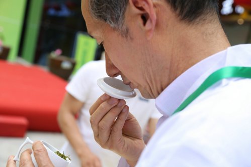 2019年国香茶城，紫砂节-信阳毛尖一芽一叶—斗茶大赛