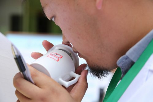2019年国香茶城，紫砂节-信阳毛尖一芽一叶—斗茶大赛