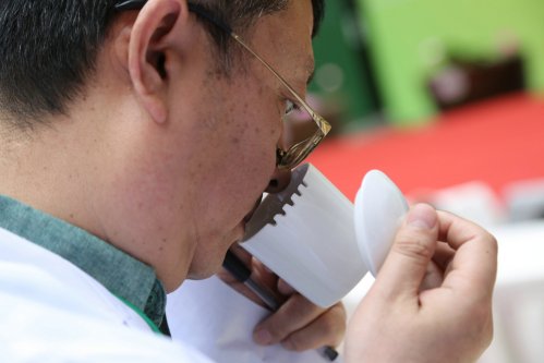 2019年国香茶城，紫砂节-信阳毛尖一芽一叶—斗茶大赛