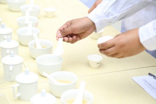 2019年国香茶城，紫砂节-信阳毛尖一芽一叶—斗茶大赛
