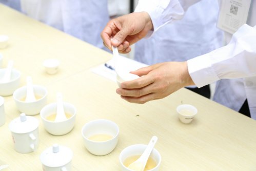 2019年国香茶城，紫砂节-信阳毛尖一芽一叶—斗茶大赛