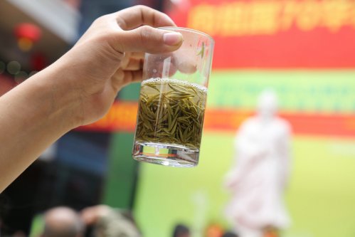 2019年国香茶城，紫砂节-信阳毛尖一芽一叶—斗茶大赛