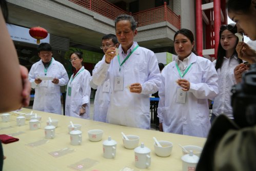 2019年国香茶城，紫砂节-信阳毛尖一芽一叶—斗茶大赛