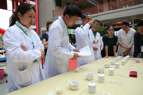 2019年国香茶城，紫砂节-信阳毛尖一芽一叶—斗茶大赛