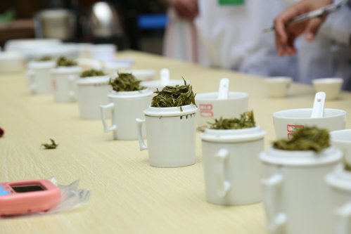 2019年国香茶城，紫砂节-信阳毛尖一芽一叶—斗茶大赛