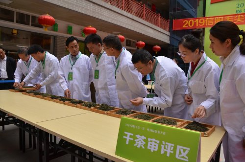 2019年国香茶城，紫砂节-信阳毛尖一芽一叶—斗茶大赛