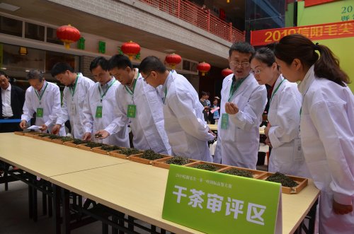 2019年国香茶城，紫砂节-信阳毛尖一芽一叶—斗茶大赛