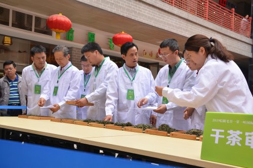 2019年国香茶城，紫砂节-信阳毛尖一芽一叶—斗茶大赛