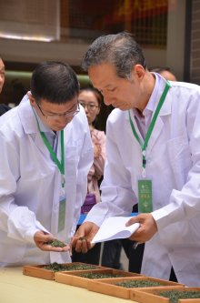 2019年国香茶城，紫砂节-信阳毛尖一芽一叶—斗茶大赛