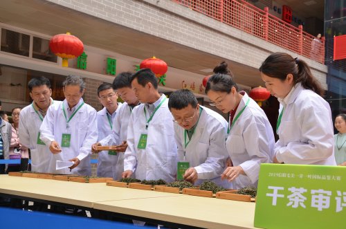 2019年国香茶城，紫砂节-信阳毛尖一芽一叶—斗茶大赛