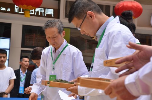 2019年国香茶城，紫砂节-信阳毛尖一芽一叶—斗茶大赛