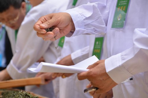 2019年国香茶城，紫砂节-信阳毛尖一芽一叶—斗茶大赛