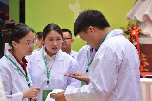 2019年国香茶城，紫砂节-信阳毛尖一芽一叶—斗茶大赛