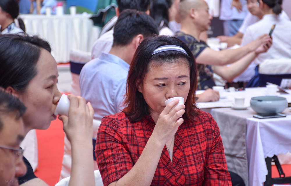 2019年国香茶城，白茶节，顺茗道，正山脉品鉴会